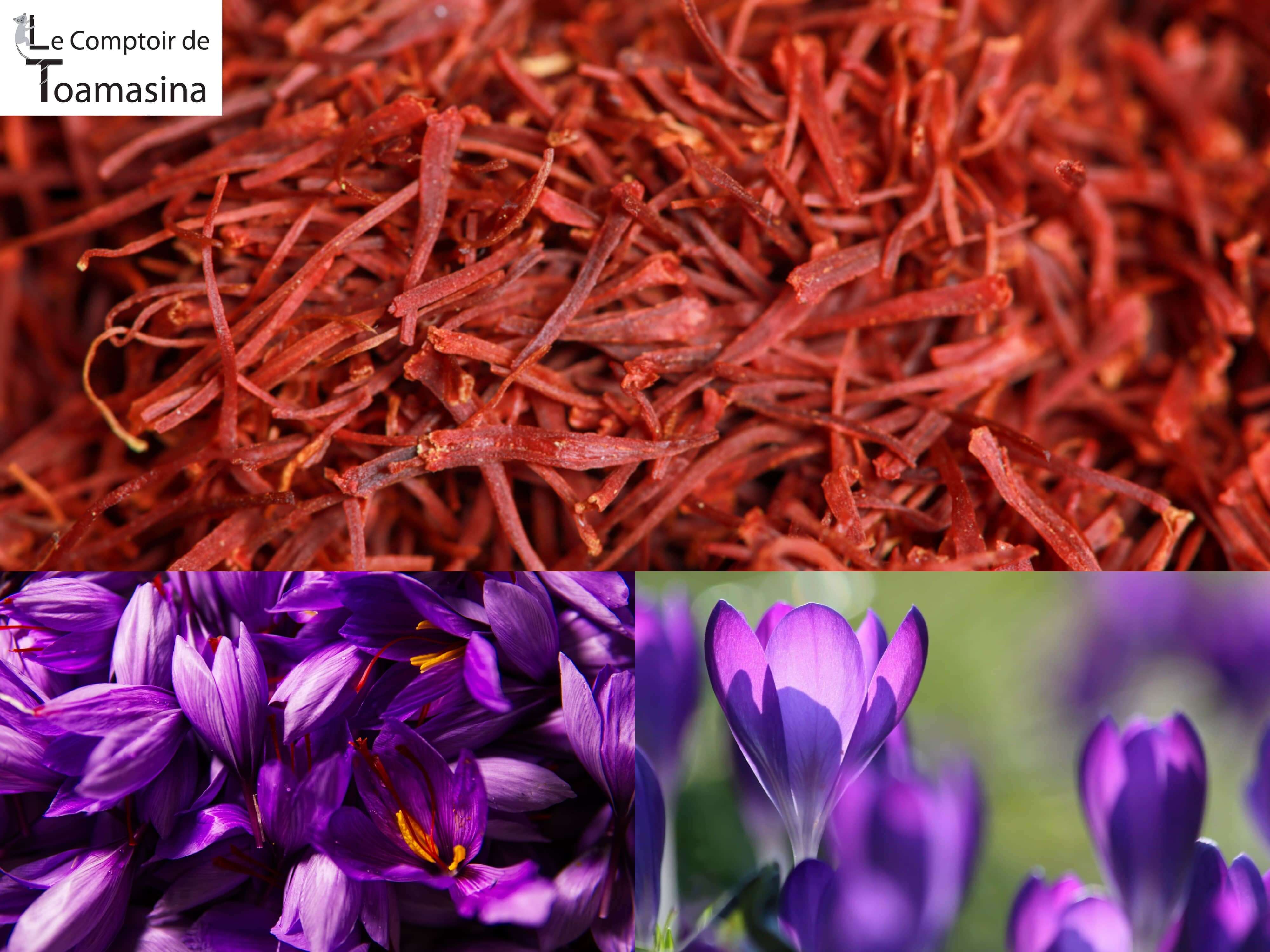 Compre açafrão do Irã